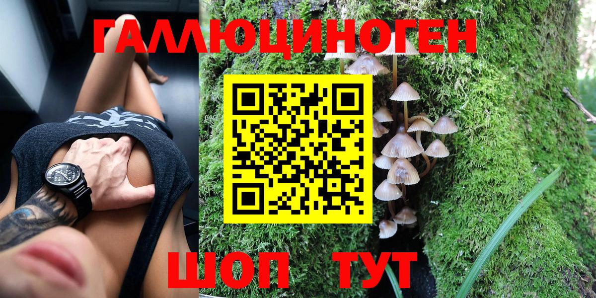 продажа наркотиков  Псилоцибиновые грибы MAGIC MUSHROOMS  Вход с VPN  Вольск 
