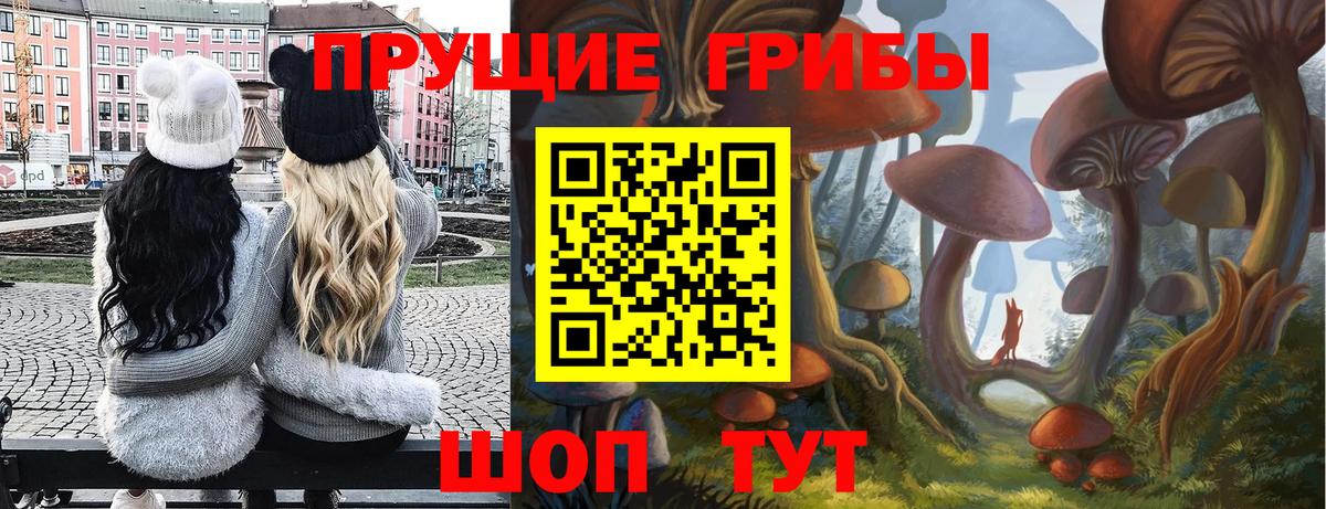 Галлюциногенные грибы Psilocybine cubensis Вольск